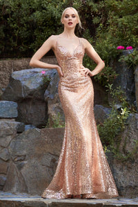 Cinderella Divine Dress CH235
