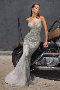 Ladivine Dress CR383
