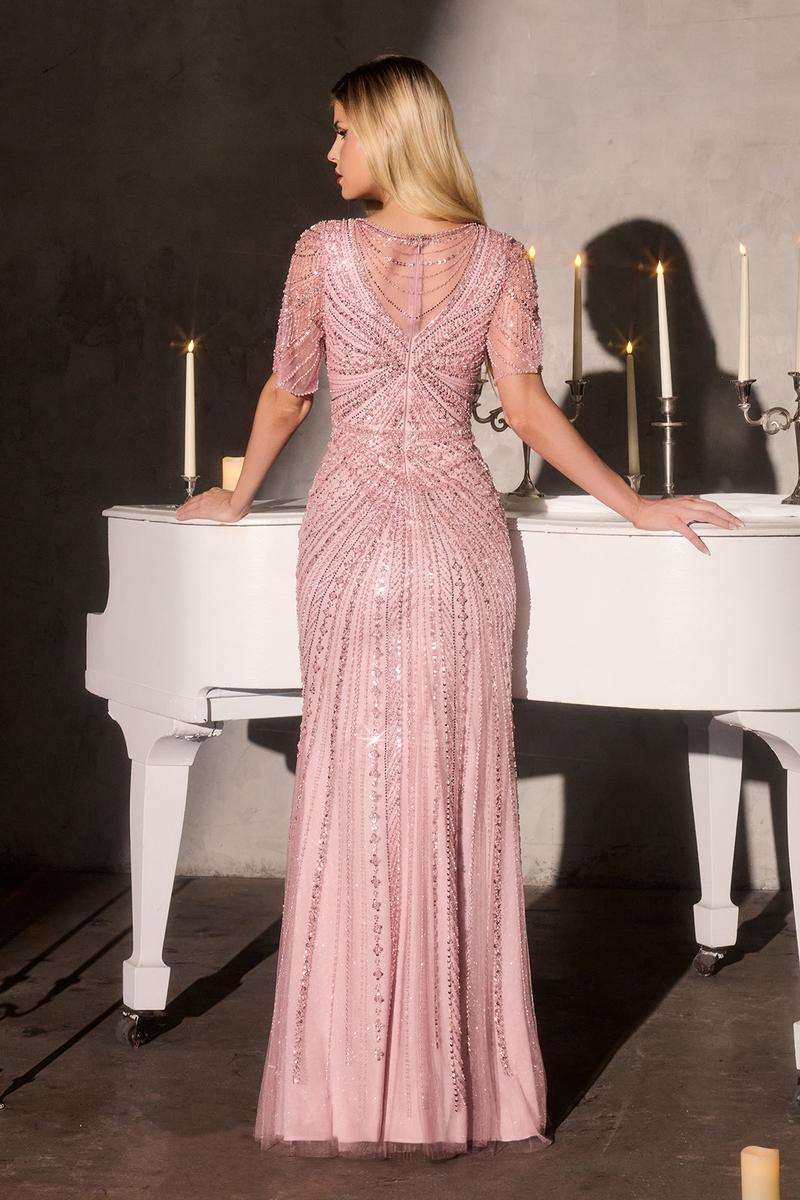 Ladivine Dress CR887