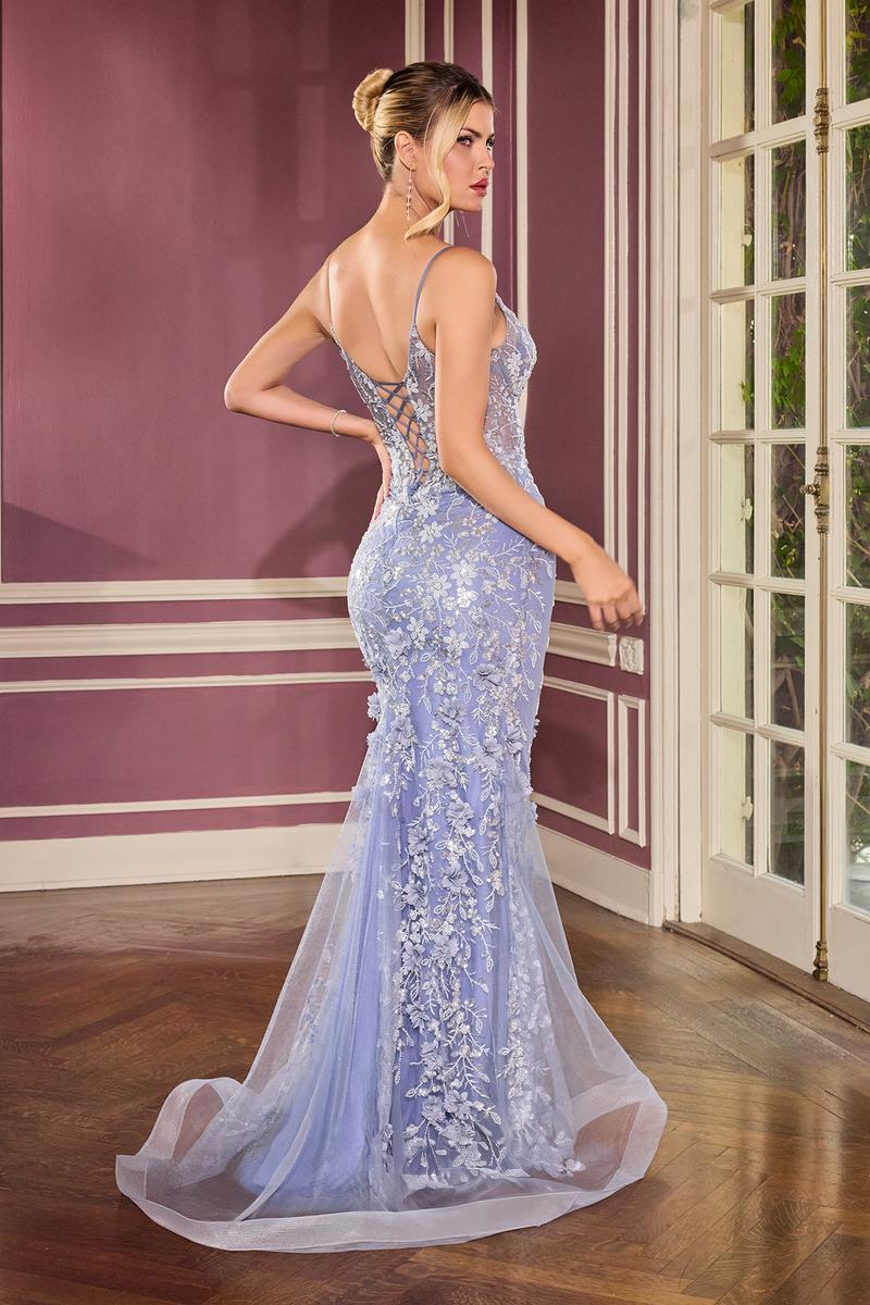 Ladivine Dress CT264
