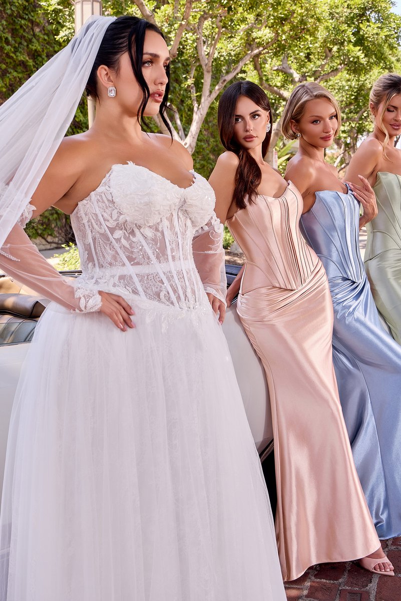 Ladivine Dress CD717W