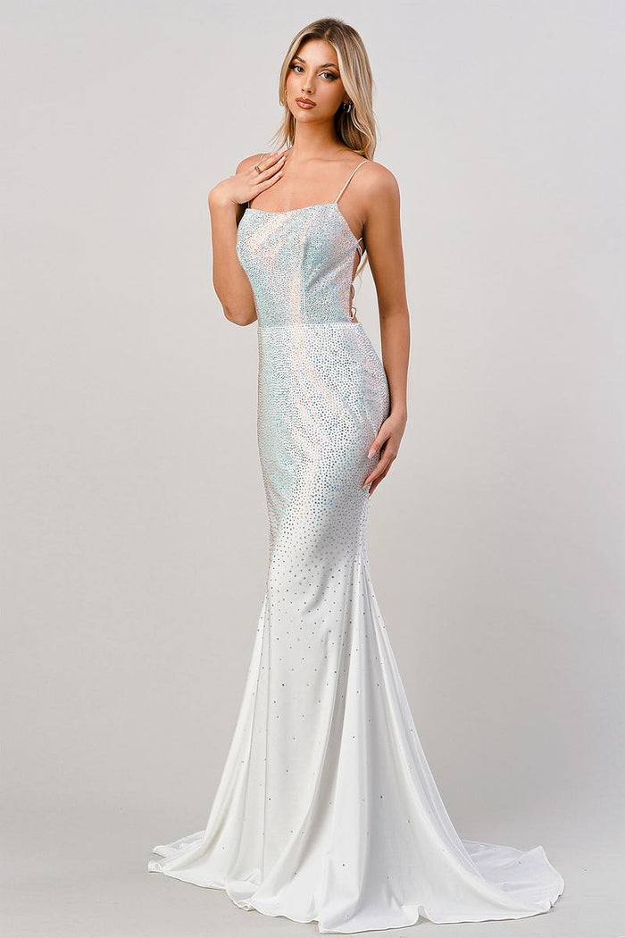 Cinderella Divine Dress CD0179