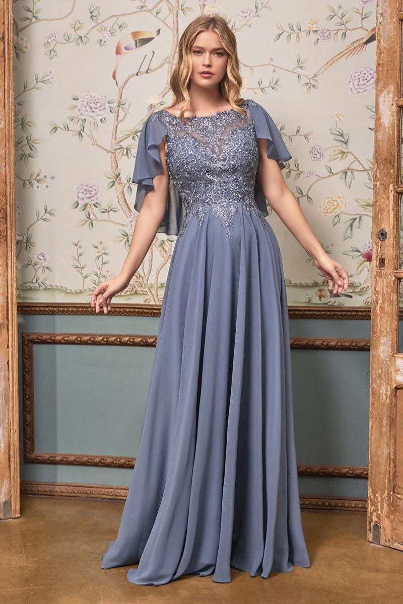 Ladivine Dress HT101