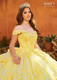 Alta Couture Quinceanera Dress MQ3087