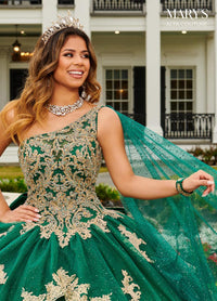 Alta Couture Quinceanera Dress MQ3097