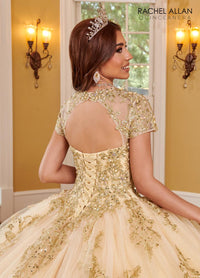 Alta Couture Quinceanera Dress RQ3108