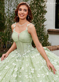 Alta Couture Quinceanera Dress RQ3112