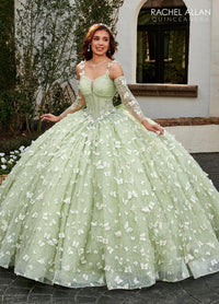 Alta Couture Quinceanera Dress RQ3112