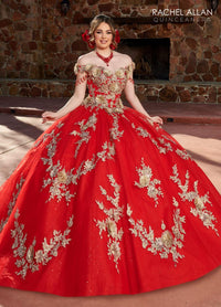 Alta Couture Quinceanera Dress RQ3117