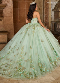 Alta Couture Quinceanera Dress RQ3125