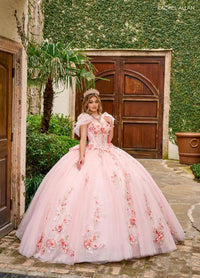 Alta Couture Quinceanera Dress RQ3132