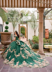 Alta Couture Quinceanera Dress RQ3133