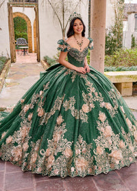 Alta Couture Quinceanera Dress RQ3133