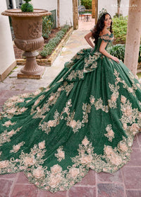 Alta Couture Quinceanera Dress RQ3133