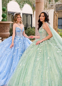 Alta Couture Quinceanera Dress RQ3135