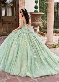 Alta Couture Quinceanera Dress RQ3135