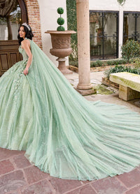 Alta Couture Quinceanera Dress RQ3135