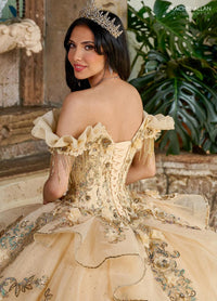 Alta Couture Quinceanera Dress RQ3137