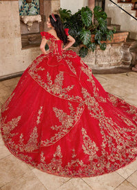 Alta Couture Quinceanera Dress RQ3137