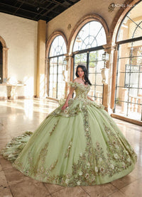 Alta Couture Quinceanera Dress RQ3137