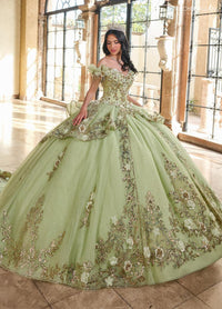 Alta Couture Quinceanera Dress RQ3137