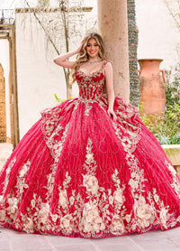 Alta Couture Quinceanera Dress RQ3140