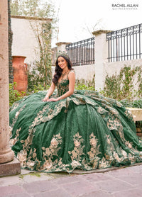 Alta Couture Quinceanera Dress RQ3140