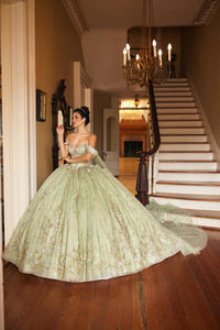 Alta Couture Quinceanera Dress RQ3146