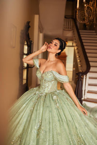 Alta Couture Quinceanera Dress RQ3146