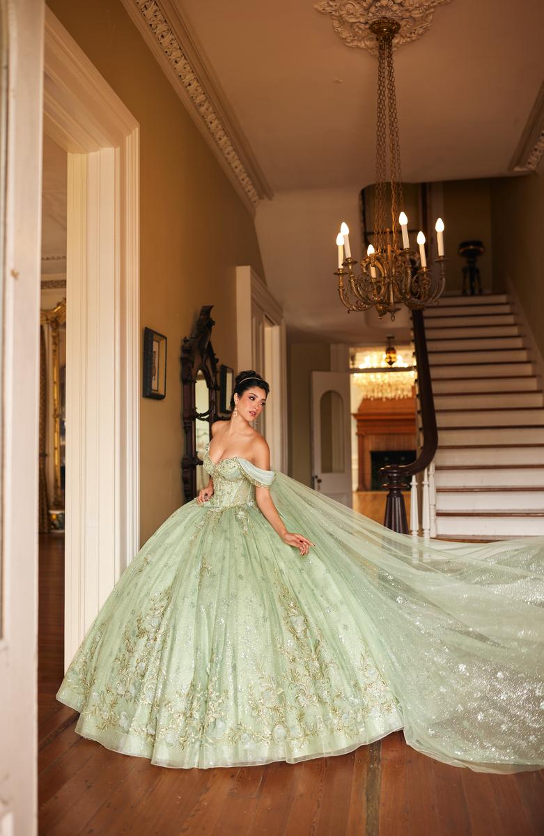 Alta Couture Quinceanera Dress RQ3146