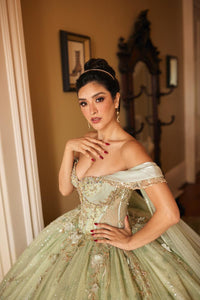 Alta Couture Quinceanera Dress RQ3146