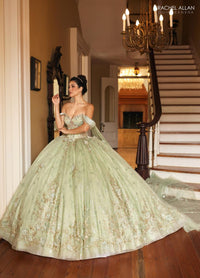 Alta Couture Quinceanera Dress RQ3146