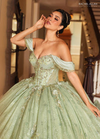 Alta Couture Quinceanera Dress RQ3146