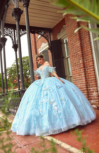 Alta Couture Quinceanera Dress RQ3149