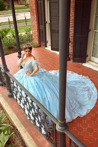 Alta Couture Quinceanera Dress RQ3149