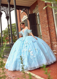 Alta Couture Quinceanera Dress RQ3149