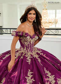 Alta Couture Quinceanera Dress RQ3151