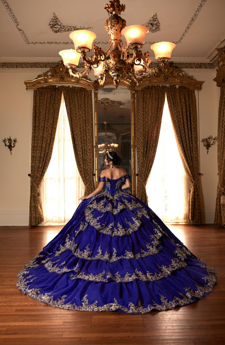 Alta Couture Quinceanera Dress RQ3151