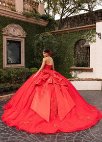 Alta Couture Quinceanera Dress RQ3156