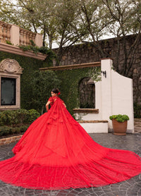 Alta Couture Quinceanera Dress RQ3156