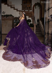 Alta Couture Quinceanera Dress RQ3160