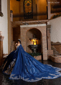 Alta Couture Quinceanera Dress RQ3160