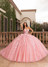 Alta Couture Quinceanera Dress RQ3162