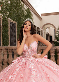 Alta Couture Quinceanera Dress RQ3162
