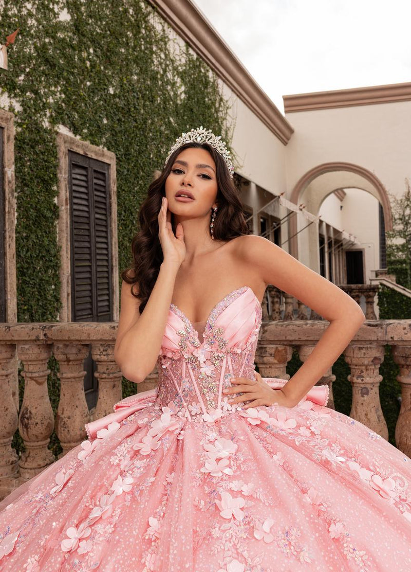 Alta Couture Quinceanera Dress RQ3162