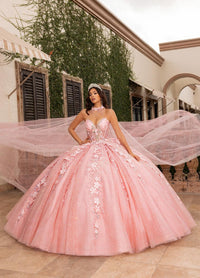 Alta Couture Quinceanera Dress RQ3162
