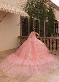 Alta Couture Quinceanera Dress RQ3162