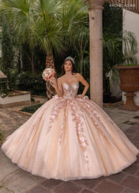 Alta Couture Quinceanera Dress RQ3162