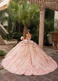 Alta Couture Quinceanera Dress RQ3162
