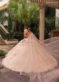 Alta Couture Quinceanera Dress RQ3162